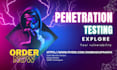 perform vulnerability assessment and penetration testing for website security