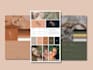 design brand style guide or brand board or brand kit