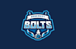 challenge create awesome hockey logo