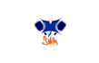 flying squirrel playing pickle ball logo