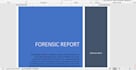 do technical and reporting writing on cyber security