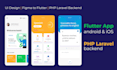 develop flutter mobile app