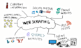 do website scraping and web crawling using python selenium scrapy