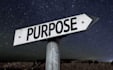 be your personal life coach for clarity, guidance and action