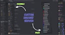 setup and manage a professional discord server