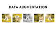 do data annotation, augmentation and manipulation on images dataset