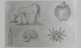 draw beautiful scenery and animal pencil sketches
