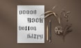 create ambigram flipped name and lettering for you
