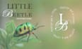create cartoon and wordmark branding logo in 24 hours