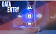 do expert level data entry services