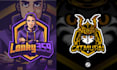 do mascot logo cartoon , character design