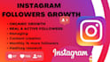 be your instagram manager and gain targeted followers