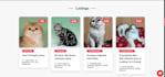 create responsive and dynamic angular  applications