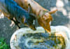 take and edit product photos in berlin and vienna