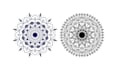 draw digital mandala design within four hour