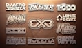 create a professional dj logo design for you