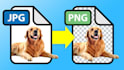 do convert any jpg to png
