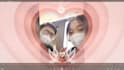 romance slide show video romantic slideshow with music