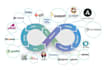 be your AWS, devops  kubernetes, terraform, docker, jenkins