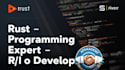 do rust programming, rust api
