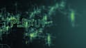 create a professional custom logo animation