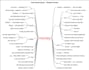 conduct nvivo qualitative data analysis