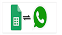 do whatsapp automation for your business