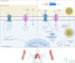 create scientific illustrations for your next project
