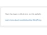 fix and troubleshoot errors on wordpress websites