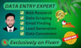 do proper data entry copy past and web research  expert