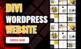 be divi expert for divi wordpress website, divi theme or divi builder