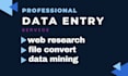 do data entry excel data entry web research copy paste