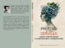 create a professional book cover design