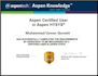 do aspen plus and aspen hysys simulations for you