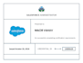 be your salesforce admin and automation expert