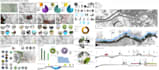 render architectural site plan,masterplan, floorplan and elevation in photoshop