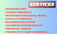 investigate on your target, your online detective, osint and background check