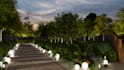 create garden, backyard, patio, pool and 3d landscape design