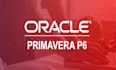 do primavera tasks and project schedules in an expert way