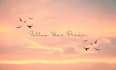 professionally create and edit sunset and landscape images