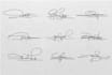 make handwritten signature scripted cursive, autograph logo
