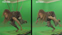 do high quality rotoscoping, green screen remove, masking