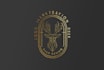 modern custom trendy logo design in 24 hours