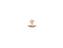 design a growing popularity carrot logo