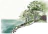 draw landscape architectural perspective and section