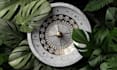 make 3d product render
