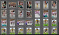 cull, edit, batch process wedding and event photos