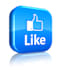 add 9000 real and permanent fb post likes