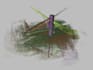 edit your 3d scan data and provide a 3d model
