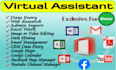 do professional virtual assistant for efficient task management and support